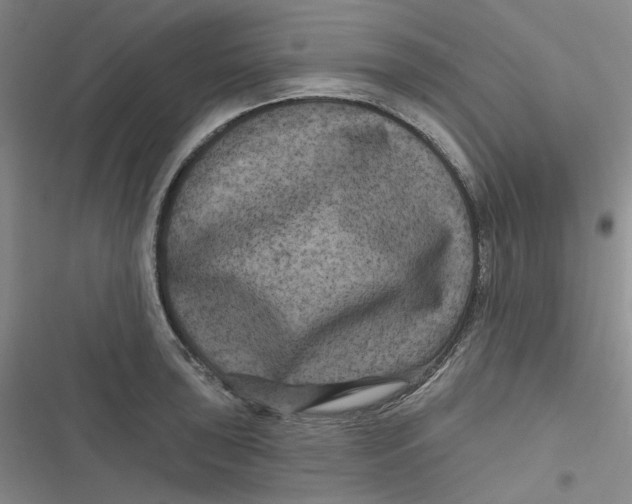 X0000116871043201001121257