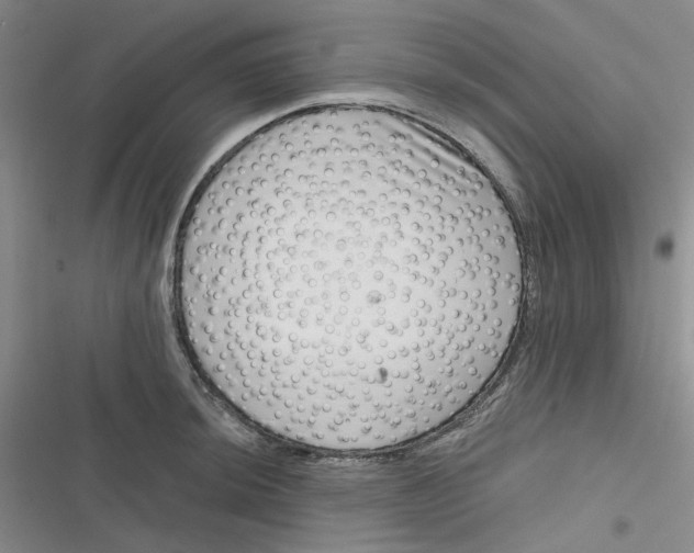 X0000116871044201001121257