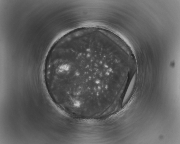 X0000116871045201001121257