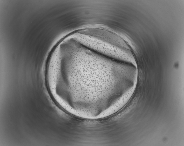 X0000116871046201001121257