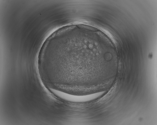 X0000116871047201001121257