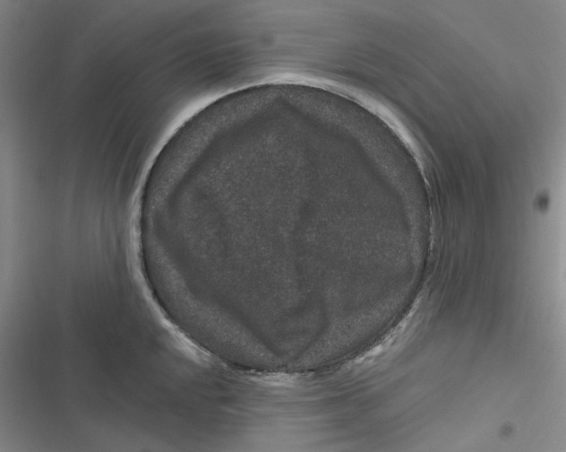 X0000116871048201001121257