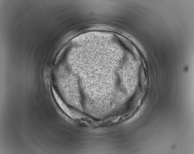 X0000116871049201001121257