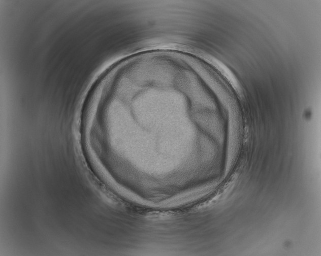 X0000116871051201001121257