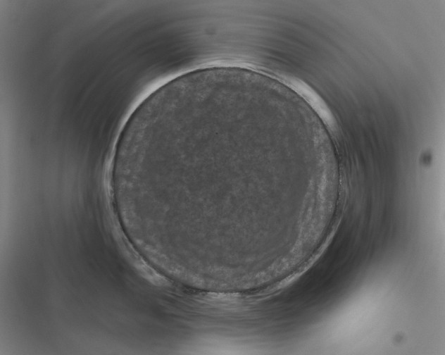 X0000116871052201001121257