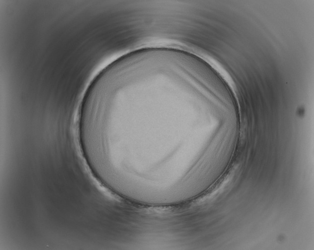 X0000116871053201001121257