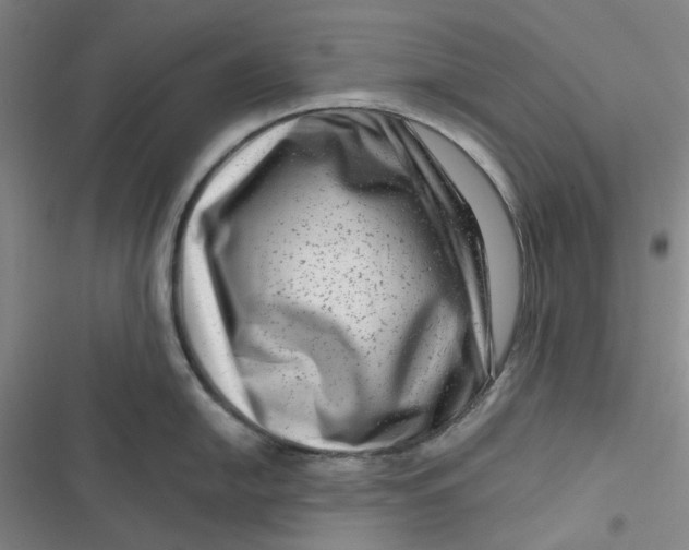 X0000116871054201001121257