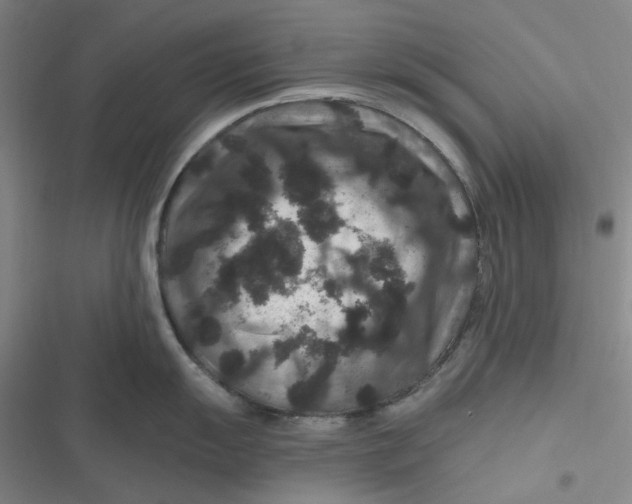 X0000116871055201001121258