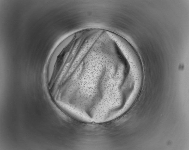 X0000116871056201001121258