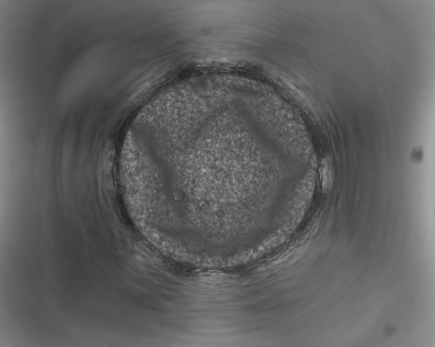 X0000116871059201001121257