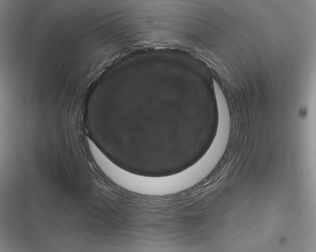 X0000116871060201001121257