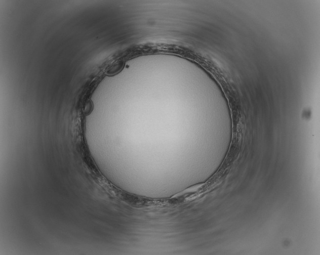 X0000116871062201001121257