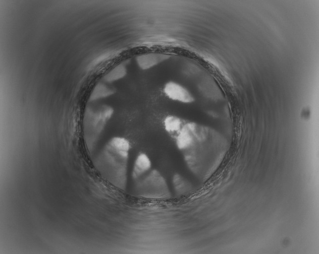 X0000116871063201001121257