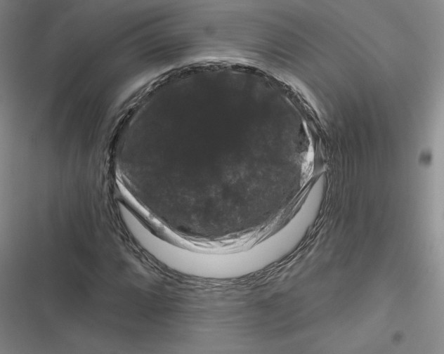 X0000116871064201001121257