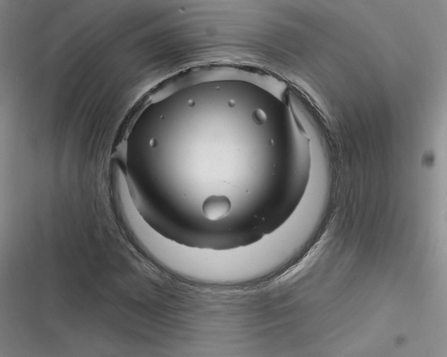 X0000116871065201001121257