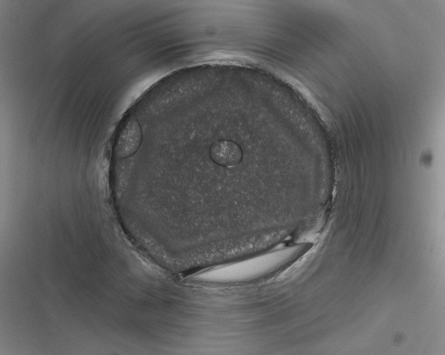 X0000116871066201001121257