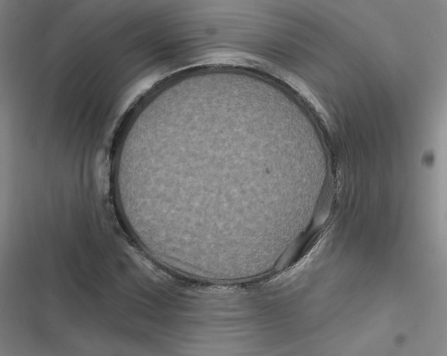 X0000116871067201001121257