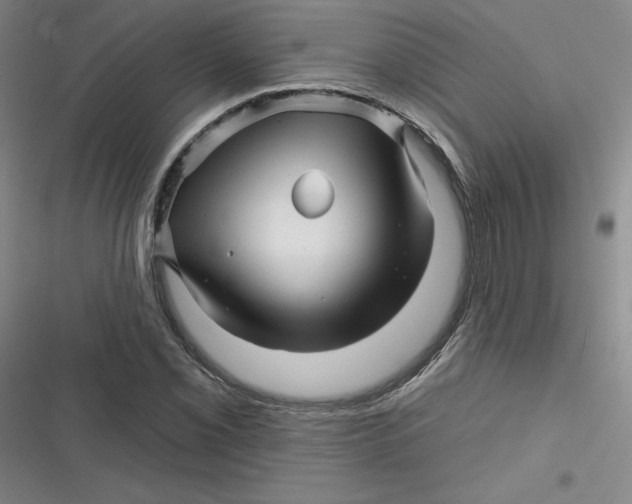 X0000116871069201001121257