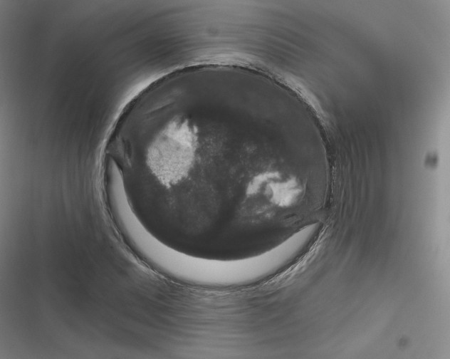 X0000116871071201001121257