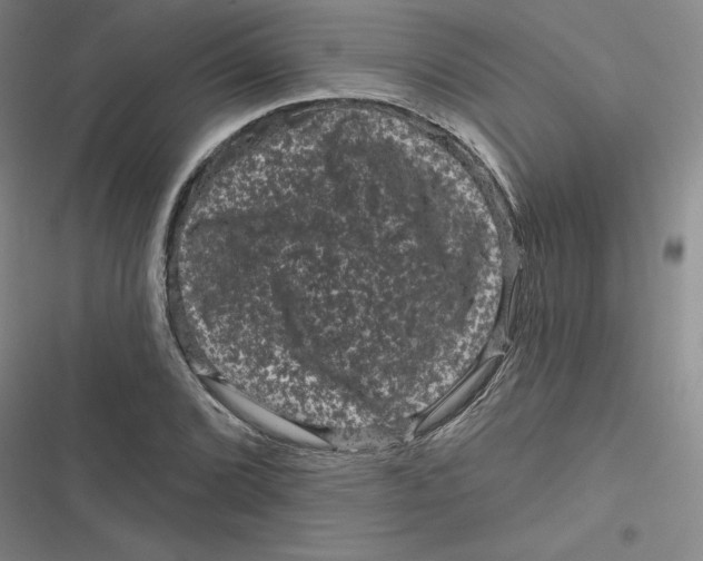 X0000116871072201001121257