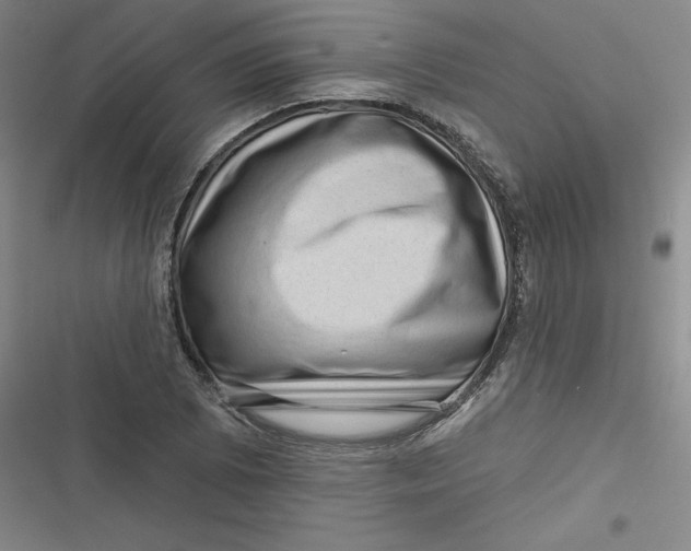 X0000116871073201001121257