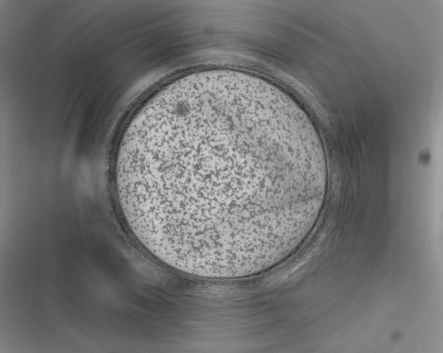 X0000116871074201001121257