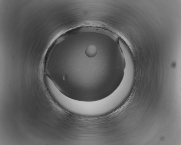 X0000116871075201001121257