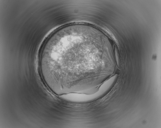 X0000116871076201001121257