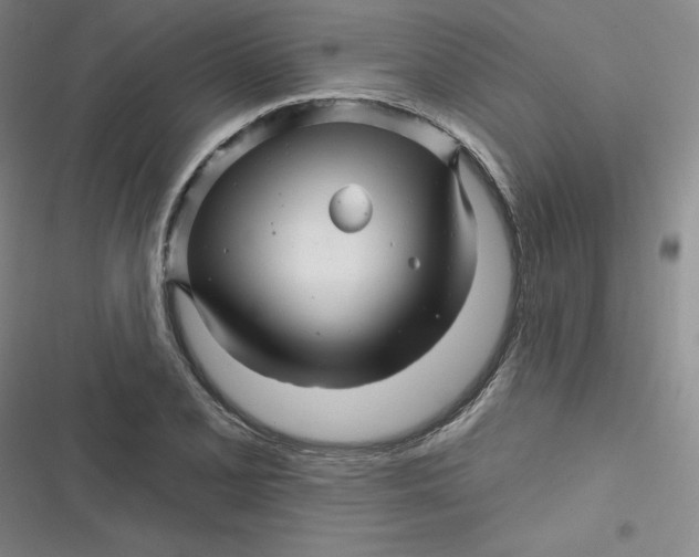 X0000116871077201001121257