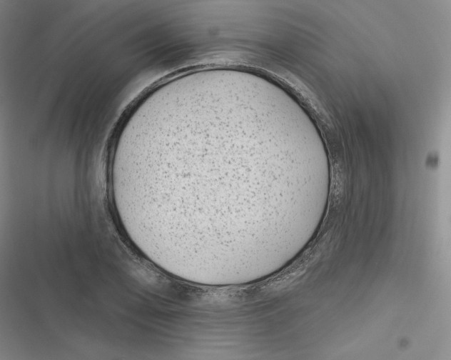 X0000116871078201001121257