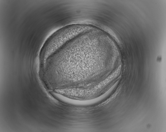 X0000116871079201001121257