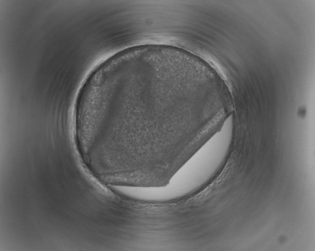 X0000116871080201001121257