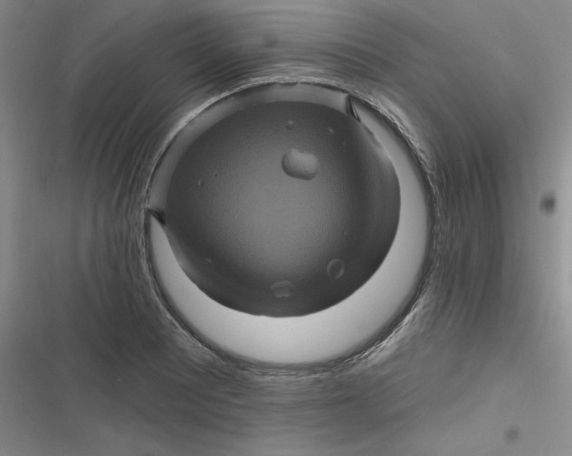 X0000116871081201001121257