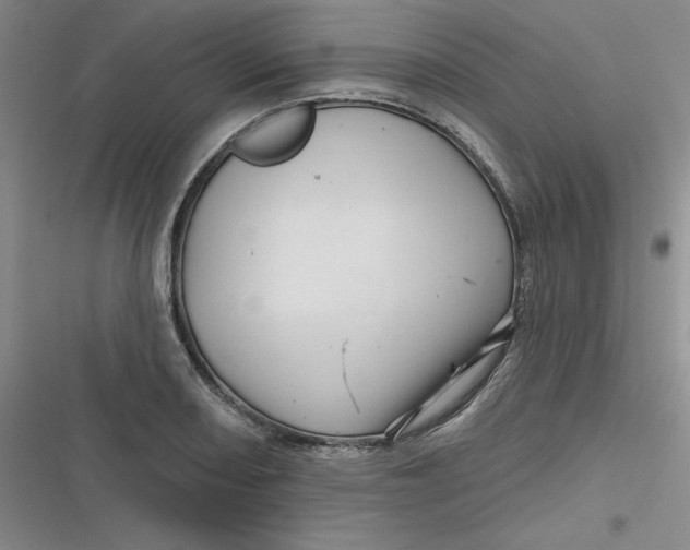 X0000116871082201001121257