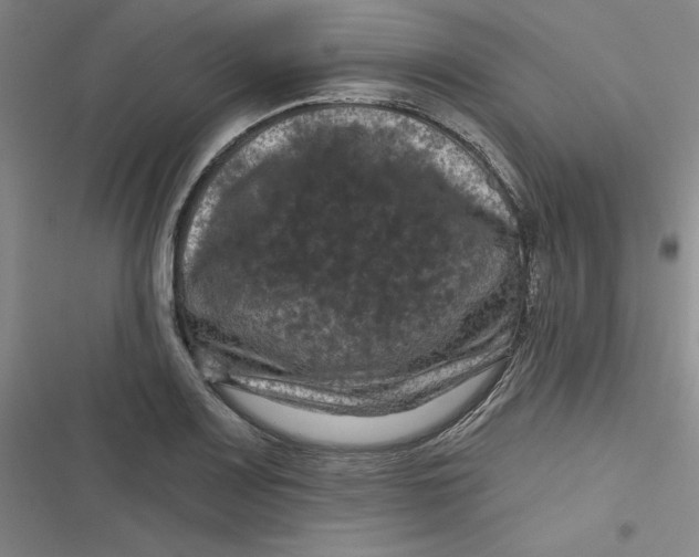 X0000116871083201001121257