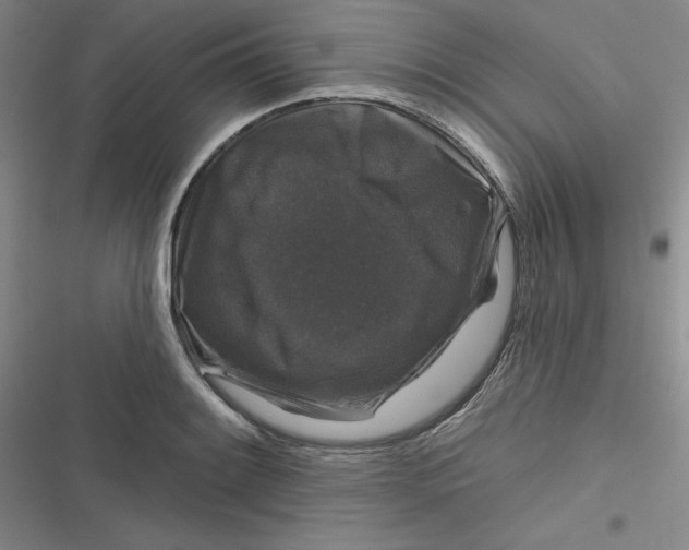 X0000116871084201001121257