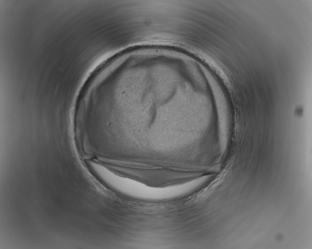 X0000116871085201001121256