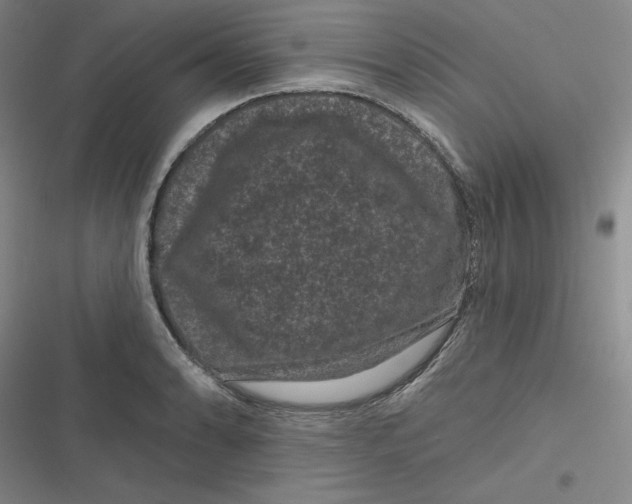 X0000116871086201001121256