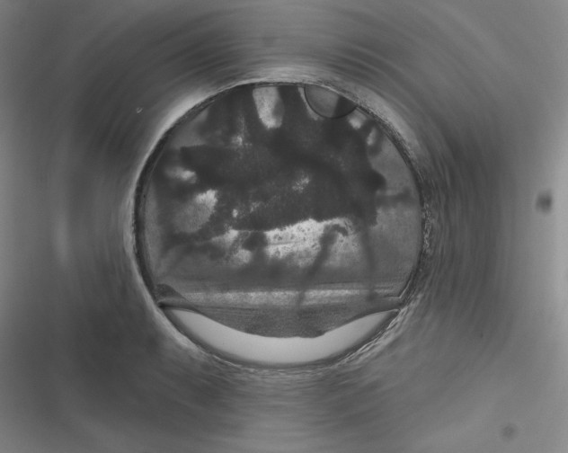 X0000116871087201001121256