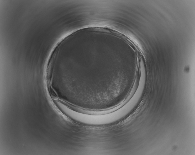 X0000116871088201001121256