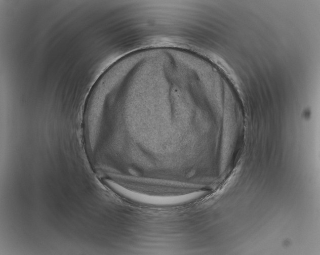 X0000116871089201001121256