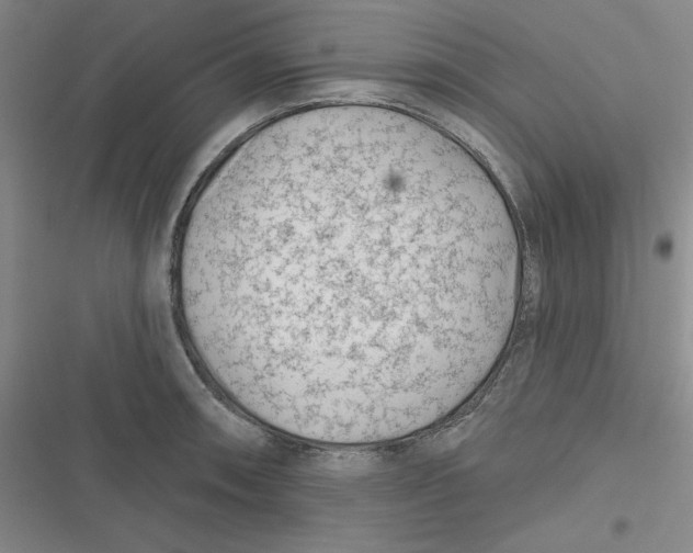 X0000116871090201001121256