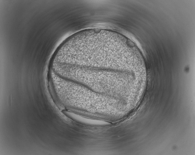 X0000116871091201001121256