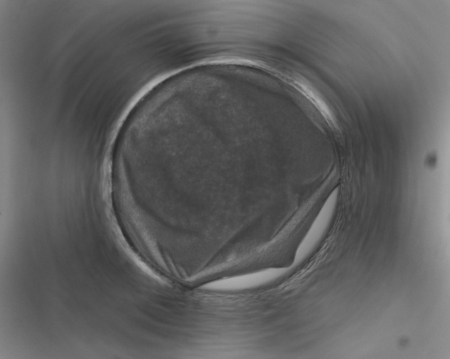 X0000116871092201001121256