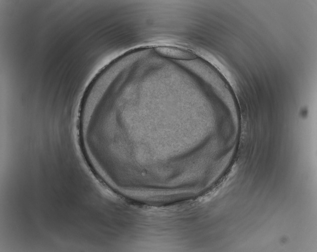 X0000116871093201001121256