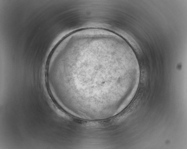 X0000116871094201001121256