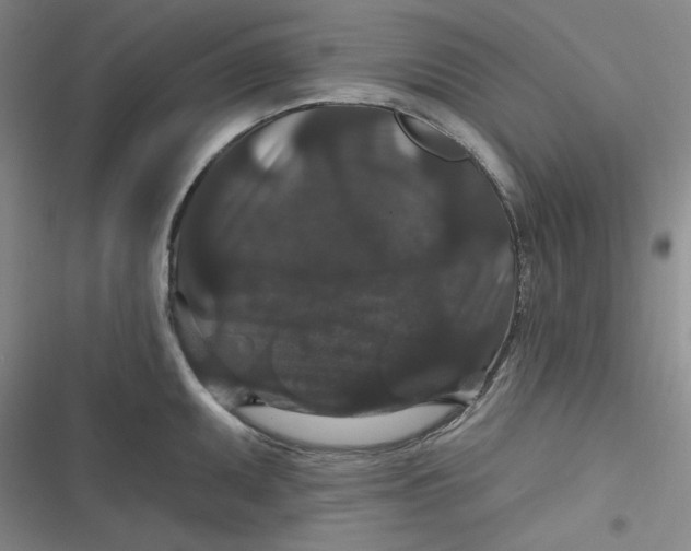 X0000116871095201001121256