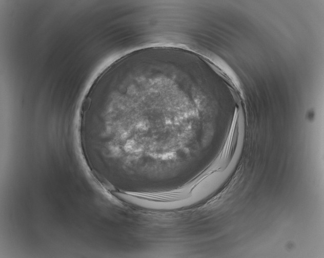 X0000116871096201001121256