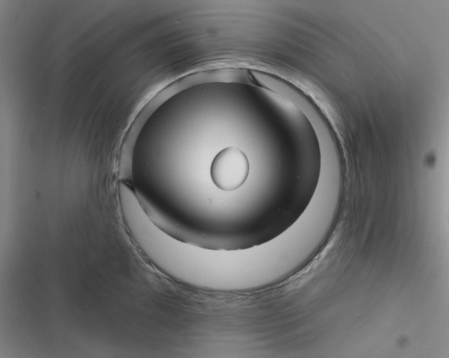 X0000116871097201001121256