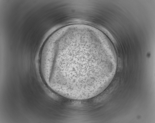 X0000116871098201001121256